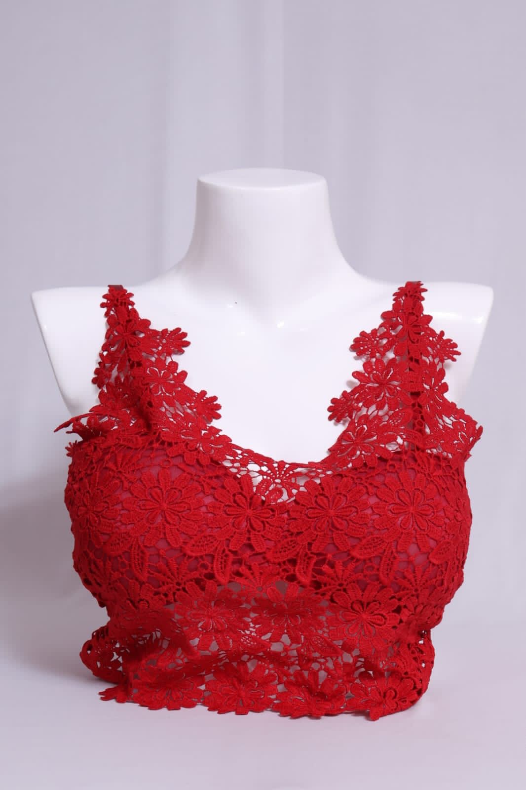 Feminine Allure: Bustier Lace Top Bra in 4 Captivating Colors